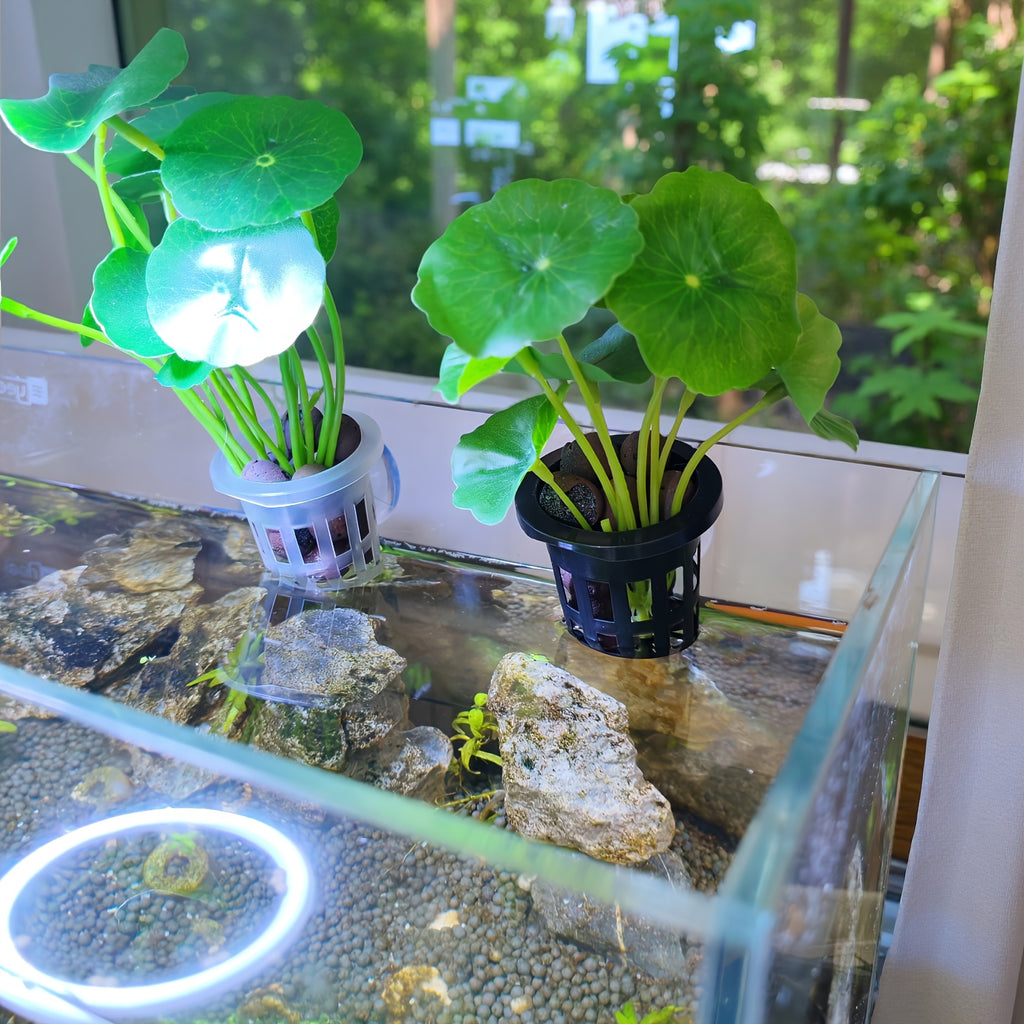 5pcs Pieces Aquarium Fish Plant Basket - Safe PP Material Fish Habitat with Bladder for Installation, Aquatic Plants Grow-Out System Suitable for Fish Tanks,, Aquariums - Fish Compatible Aquascaping Decor