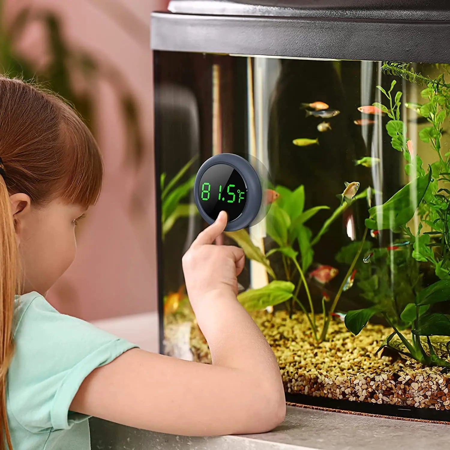LED Digital Aquarium Thermometer