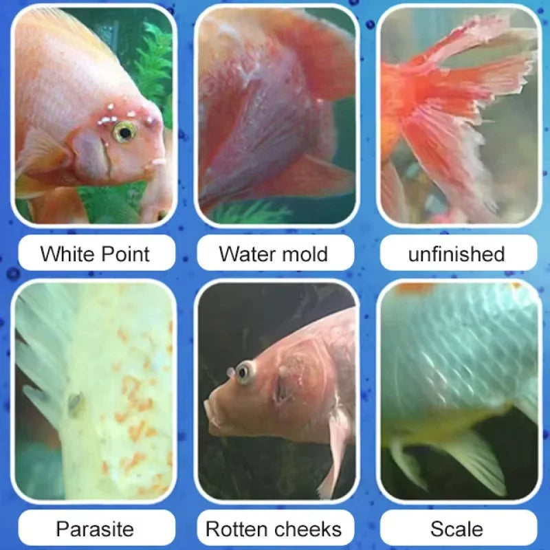 SIKEZHAN Fish Disease Treatment & Nitrifying Bacteria | Anti-inflammatory Aquarium Remedy for Fresh/Saltwater w/ 2ml Pipette