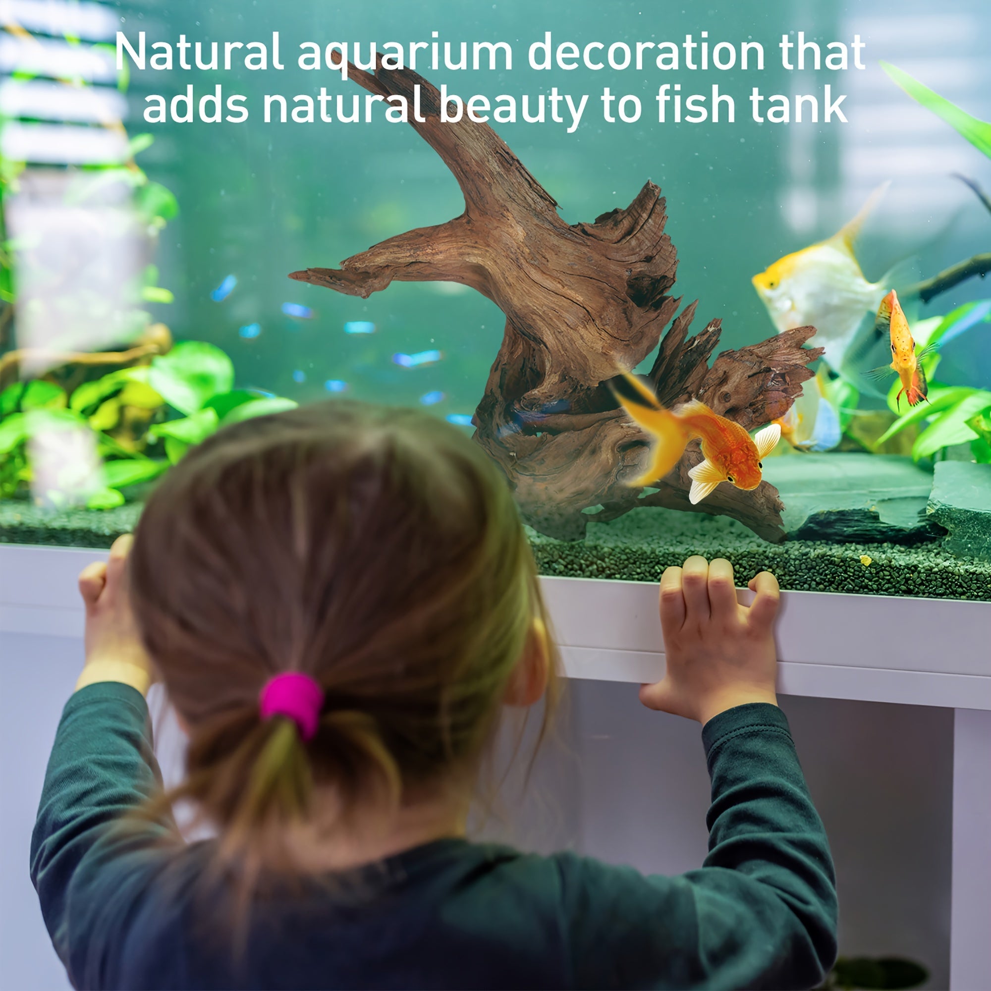 Natural Small Driftwood for Aquarium Decor Reptile Decor, Assorted Driftwood Branch 4-8" 5pcs, Fish Tank Decoration